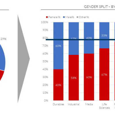 Limitations of diversity for executive search projects